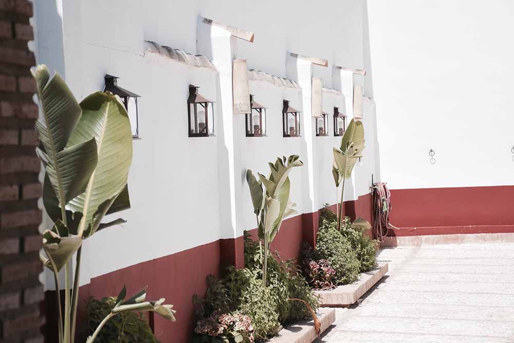 Patio exterior