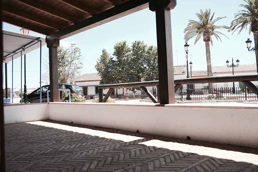 Terraza